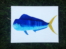 A Fish So Nice... Blue Decor